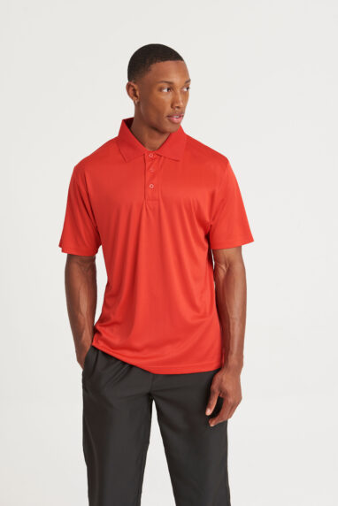 COOL SMOOTH POLO image 1